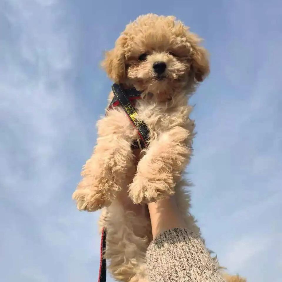 小王