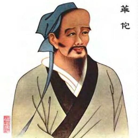 亳州药匣子(道地药材)