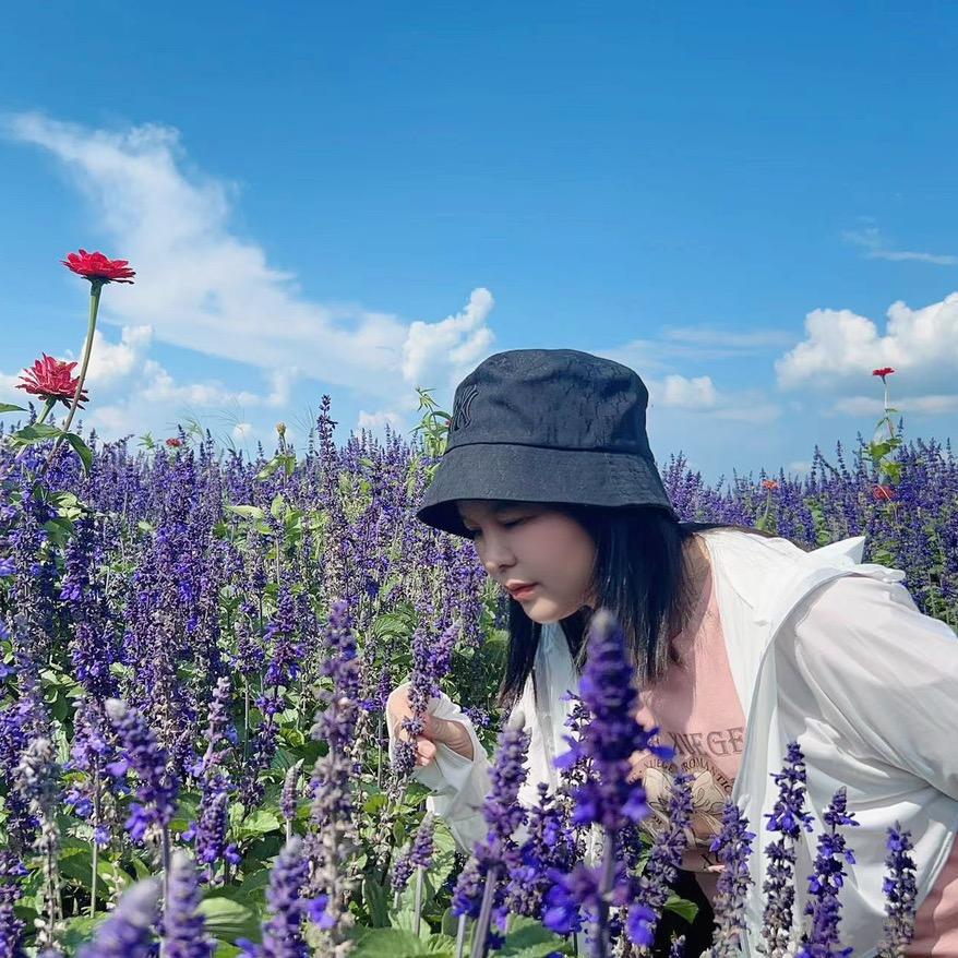 王二麻子