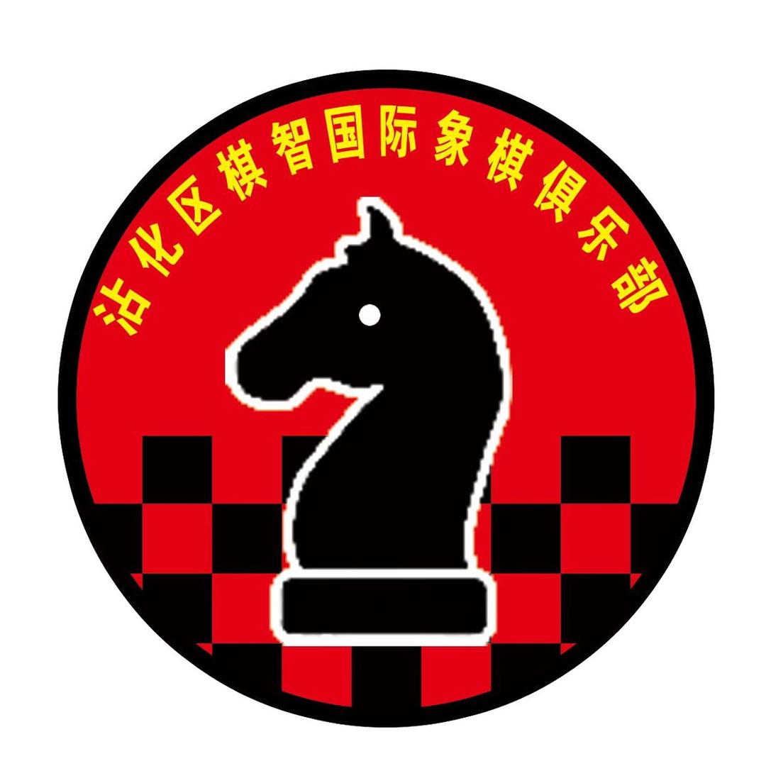 沾化棋智国象苗老师