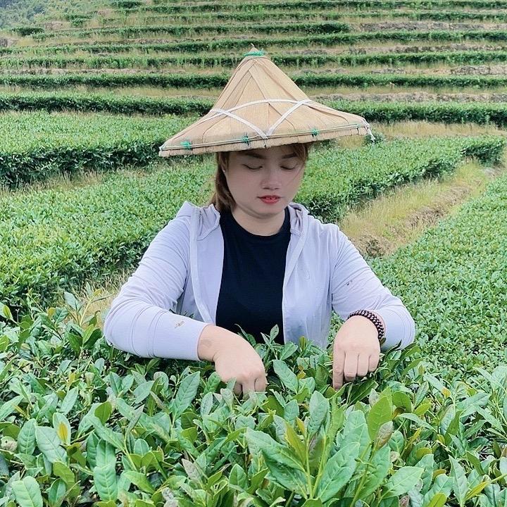 叠农茶叶