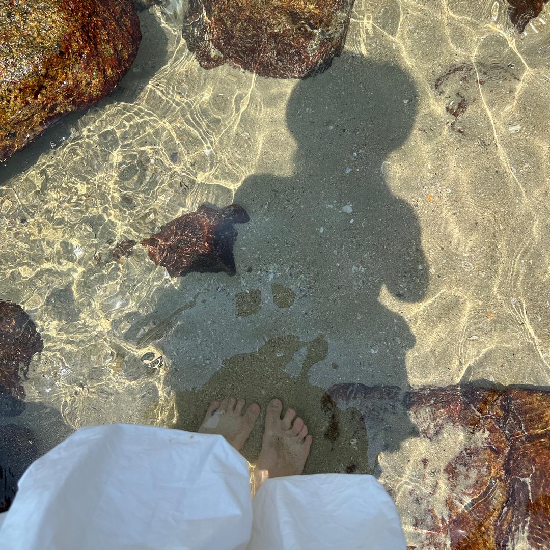 资深恋肉脑（裸辞摆摊中）