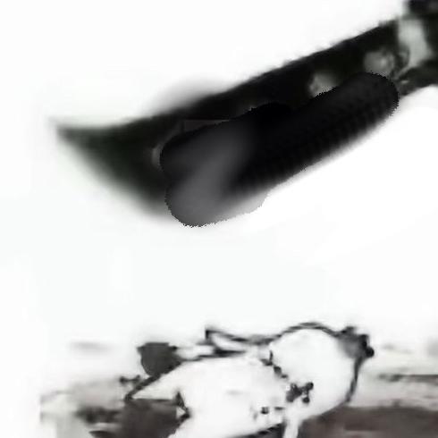 只因为你