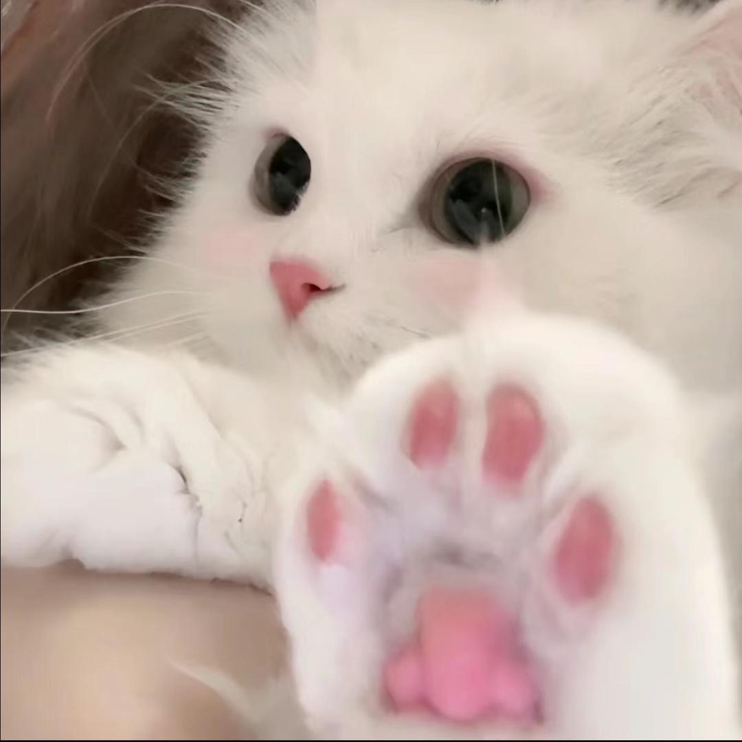 🌙