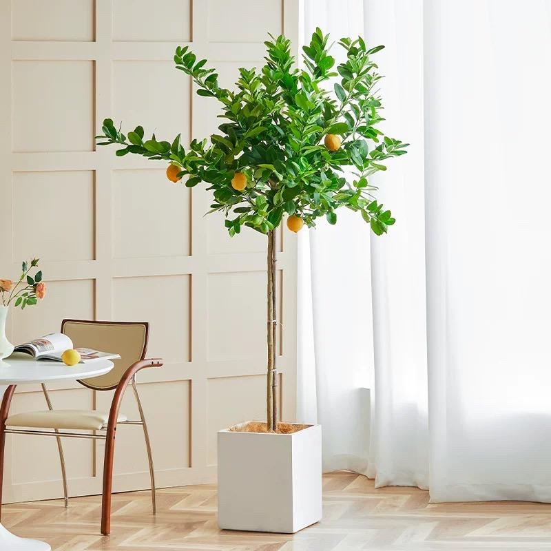 花之美果树园艺