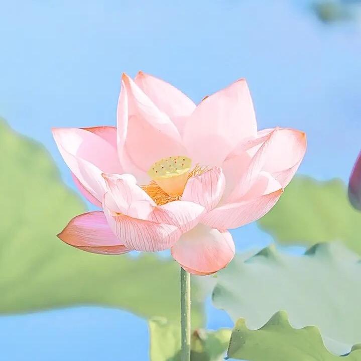 11点半