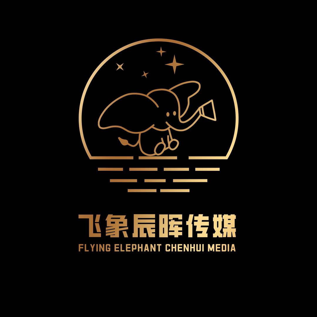 青岛飞象辰晖文化传媒有限公司