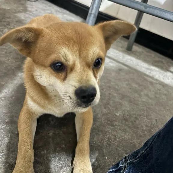 广元宏骏精品二手车