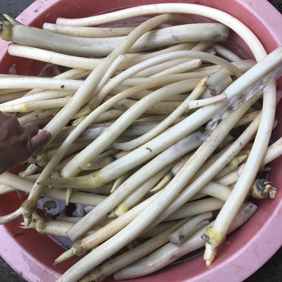 王大可土特产