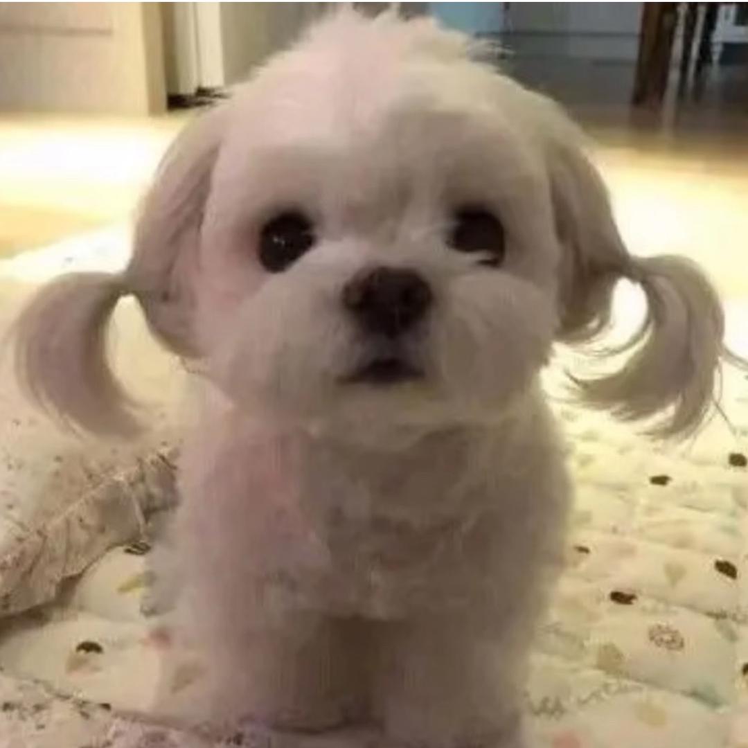 >33<头像