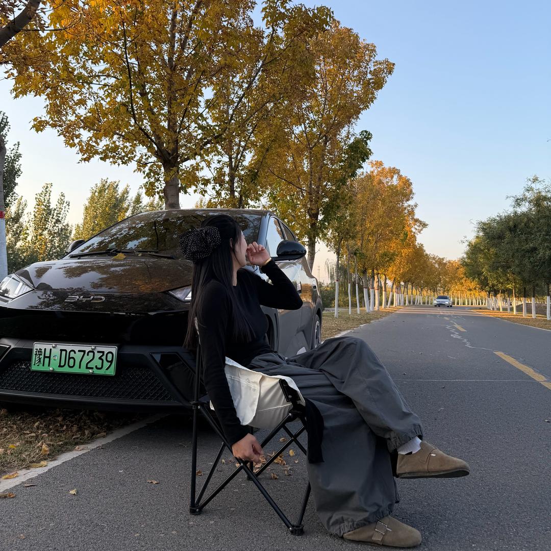 老仙女🍑（比亚迪海鸥）