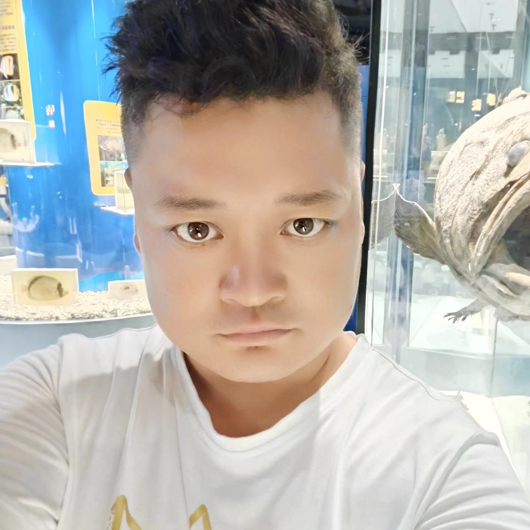 蒲城鼎盛二手车行