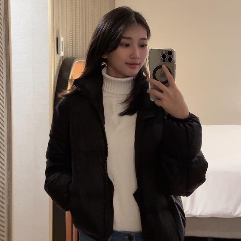 瑞企鹅