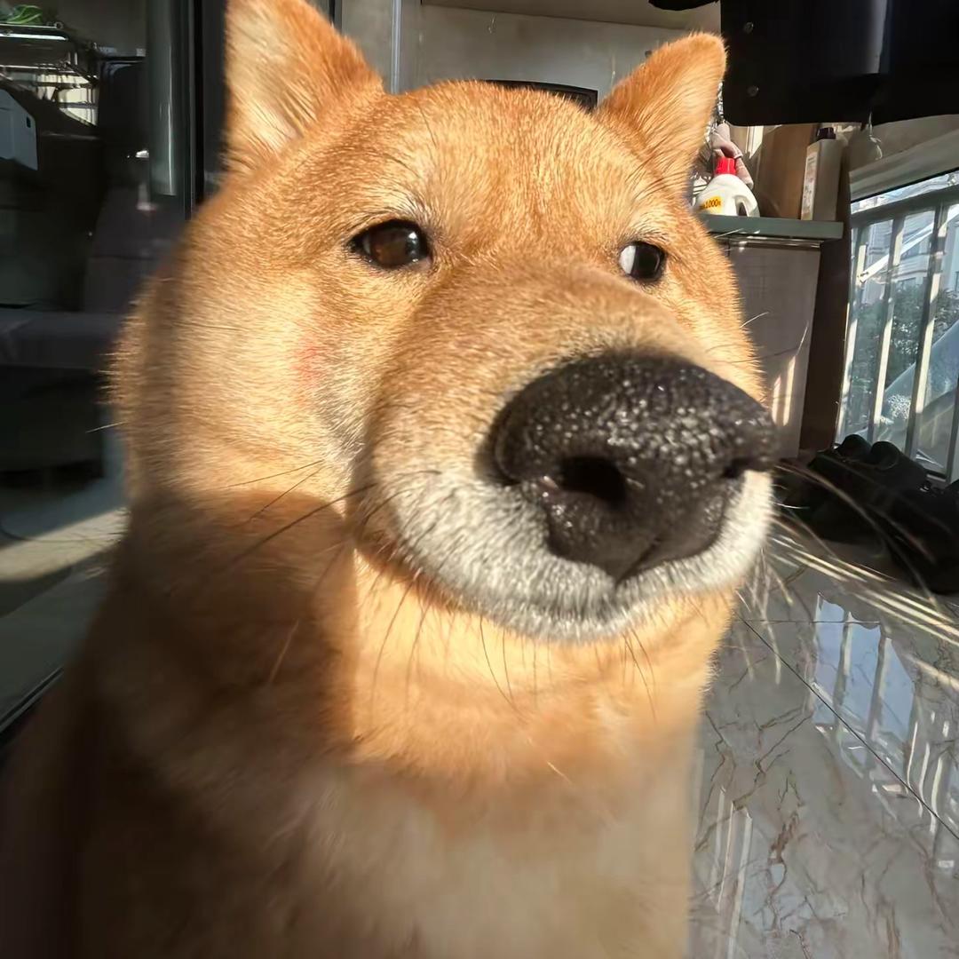 今天想我了吗