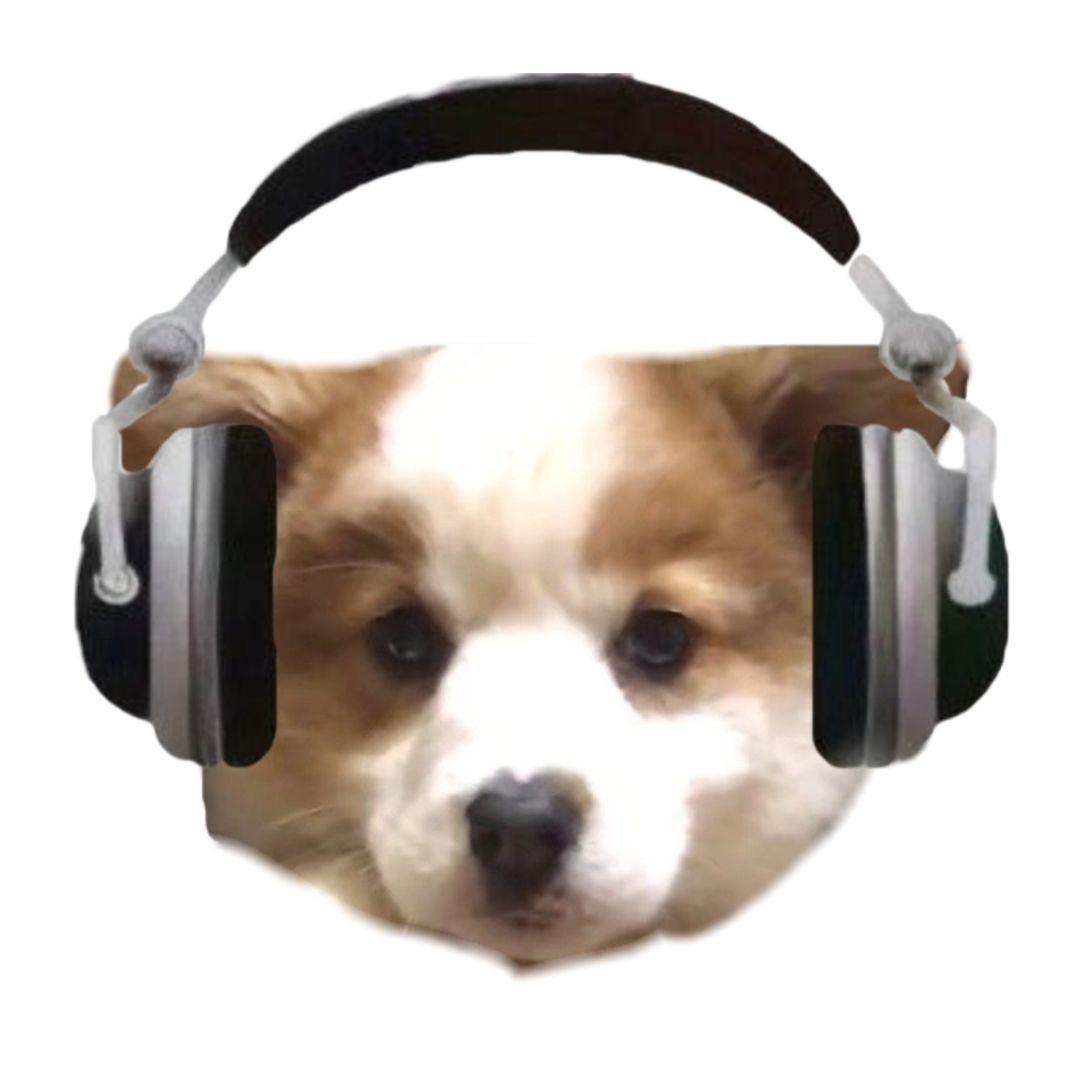 小阿呆