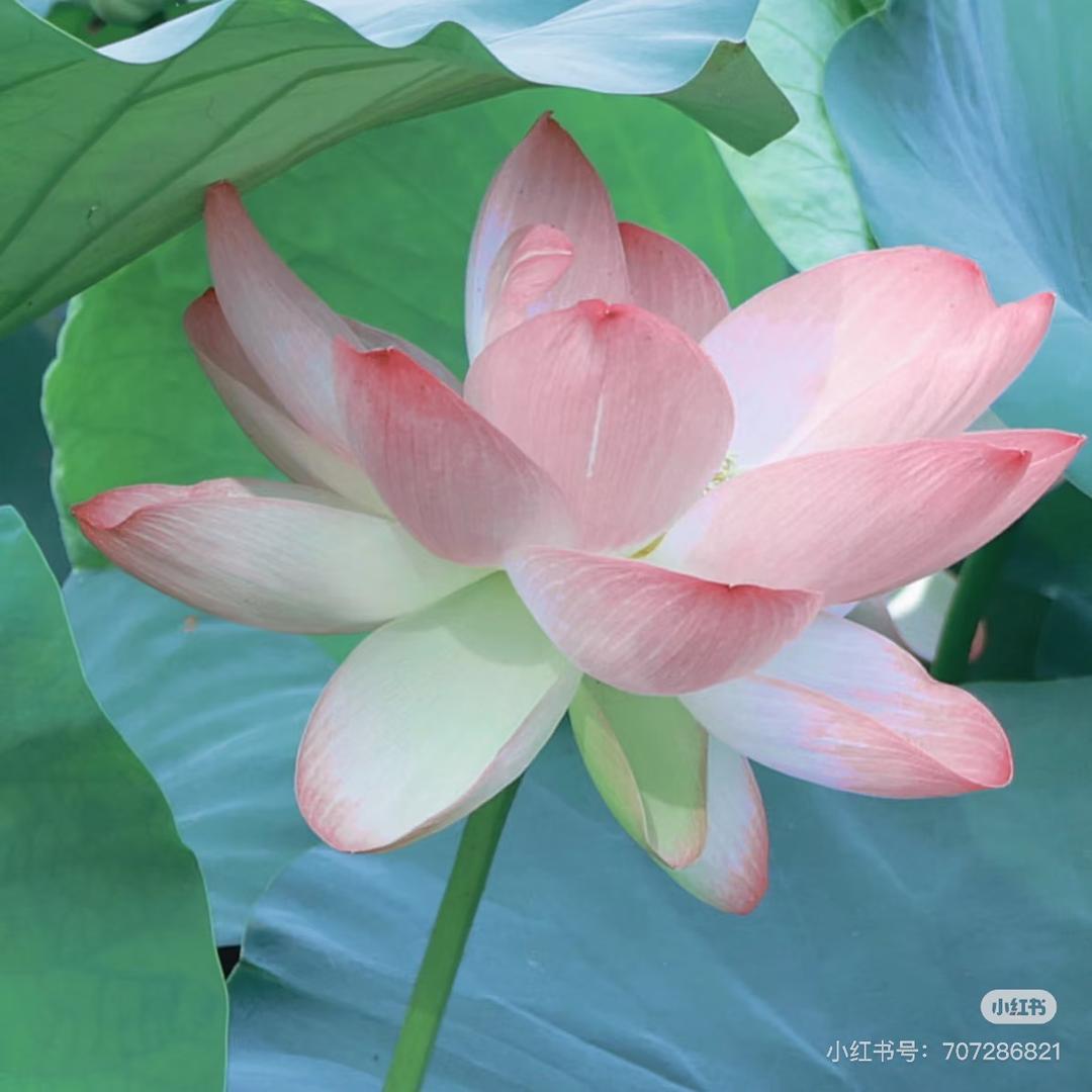 优惠充