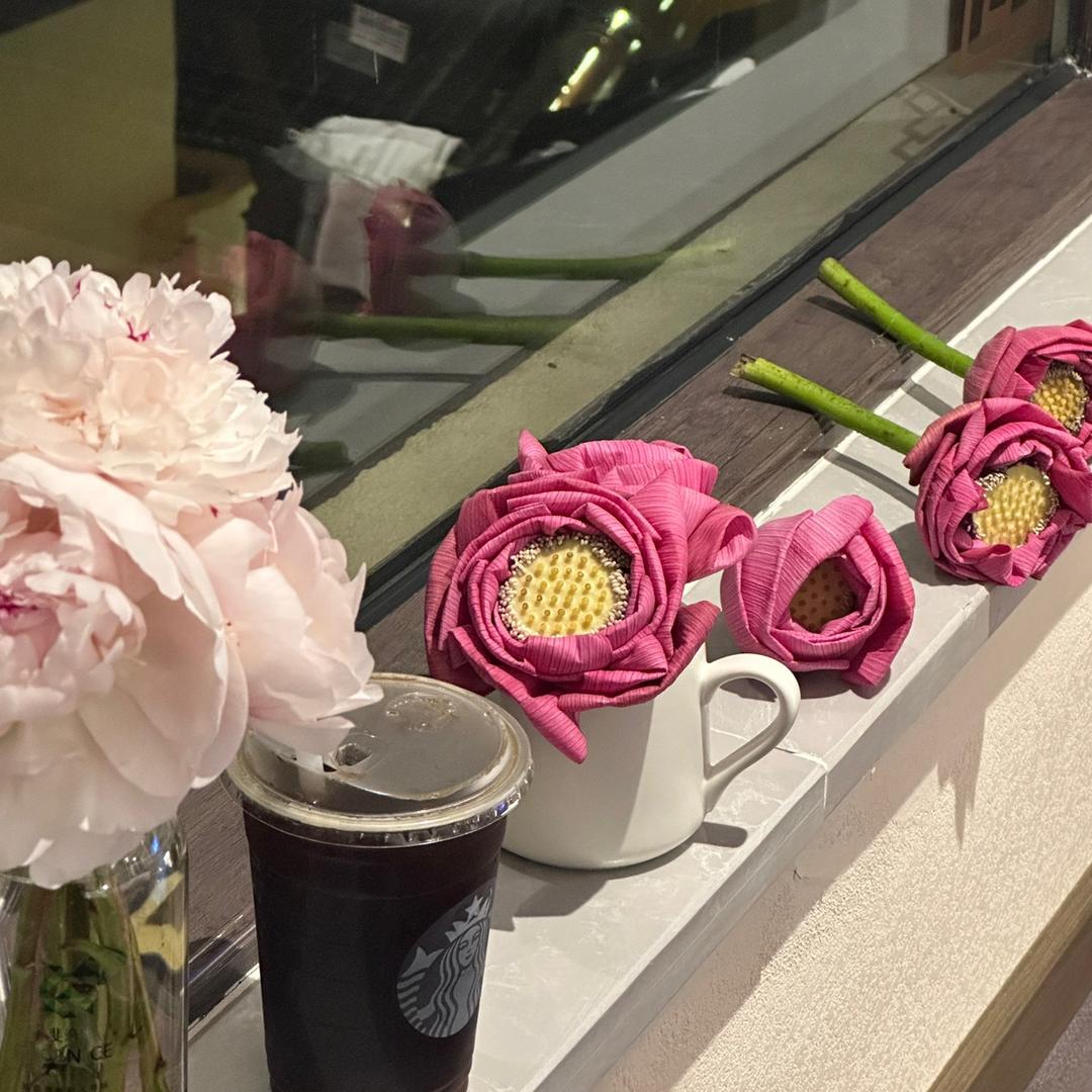 塔恩鲜花包装材料