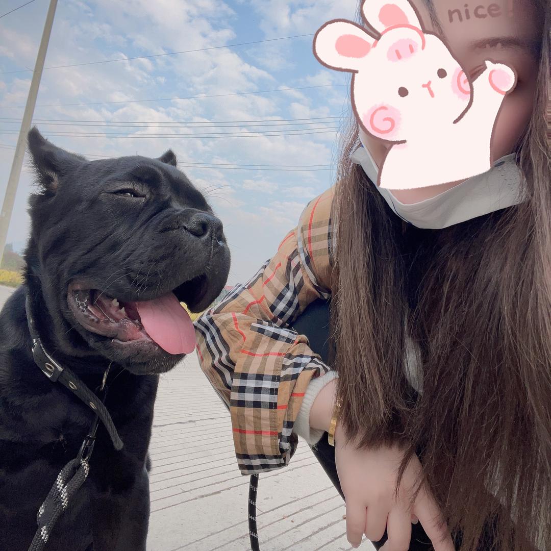 Casro_HeiPi🐕