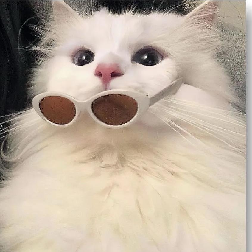 小卓姐姐姐姐💋