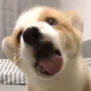 ♔