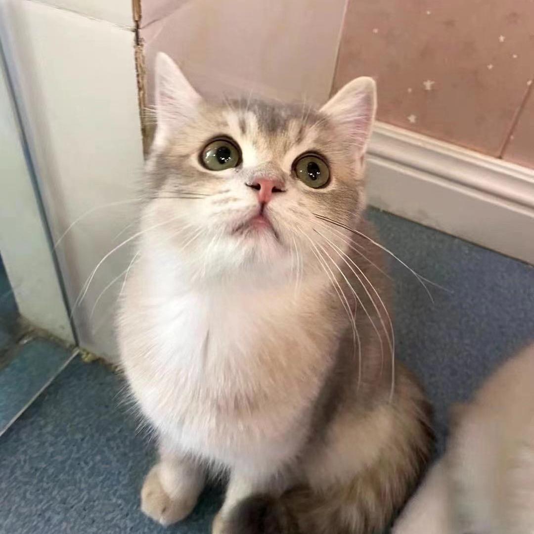 ↂ⃙⃙⃚⃛•̫̮ↂ⃙⃙⃚⃛仗剑走天涯