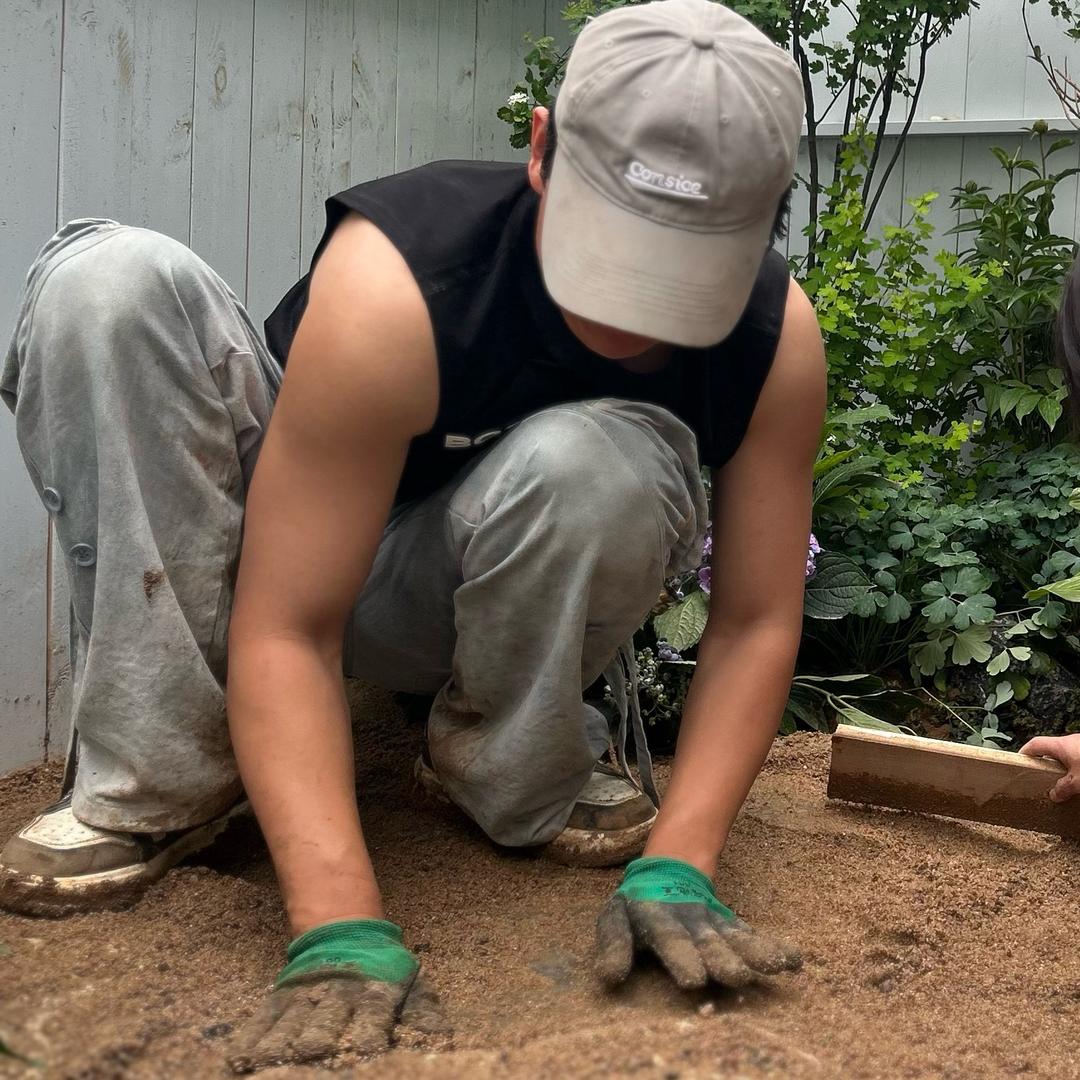 柳清的植物杂货店
