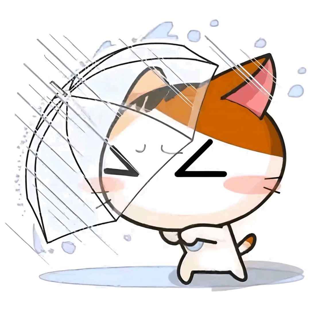 lin林