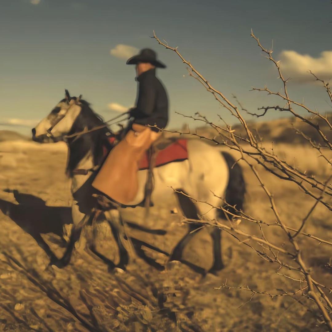 阿宴（烤蜜薯版）