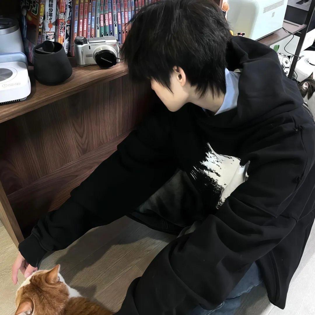 一片生菜