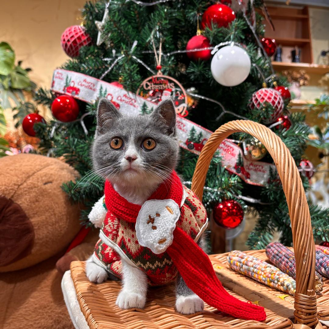 一缕阳光@好「！」