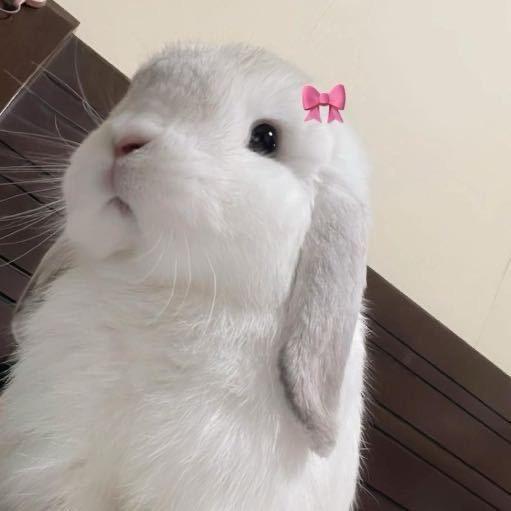 当当当当