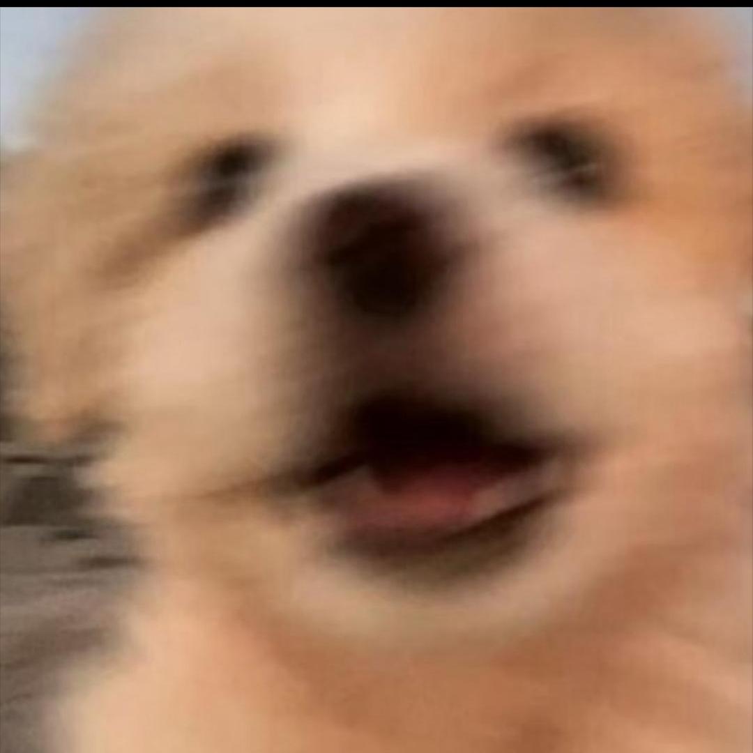 羊羊羊。