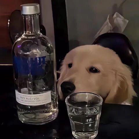 故事和酒