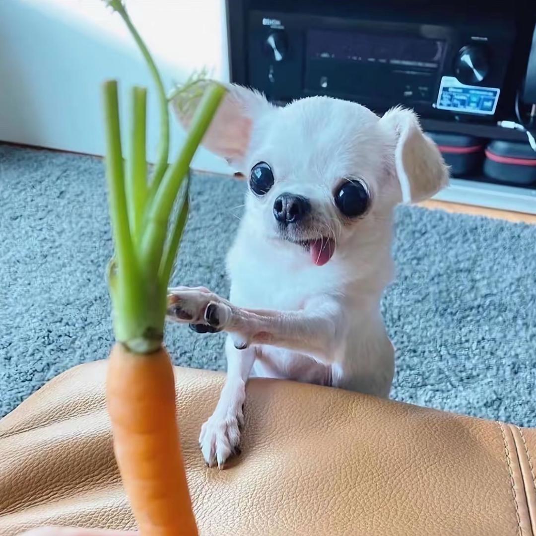 少冰三分糖