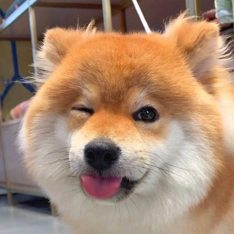 妞🧸