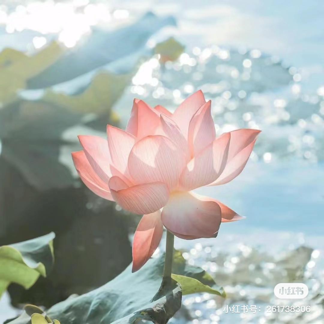青岛聚缘阁