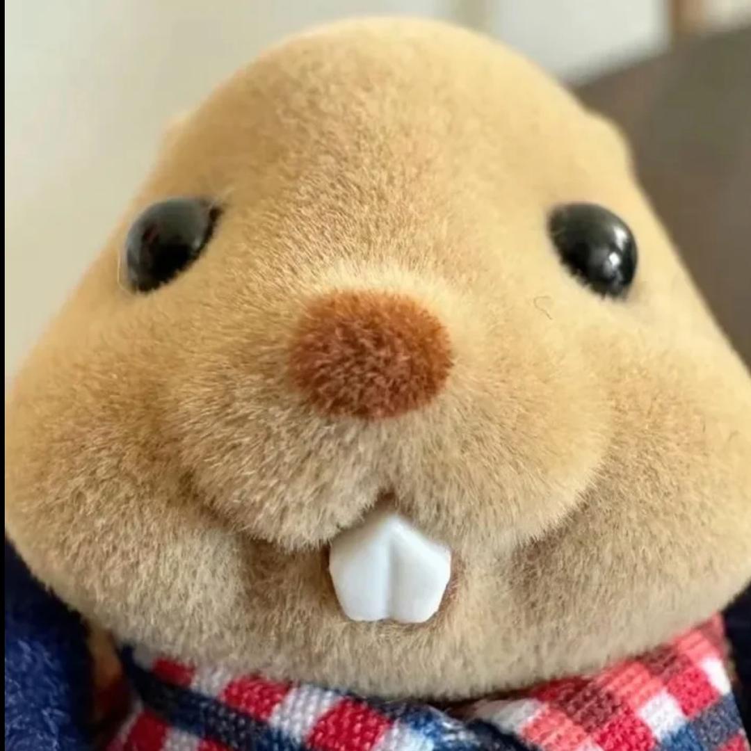 季文汐是一个很焦虑的人