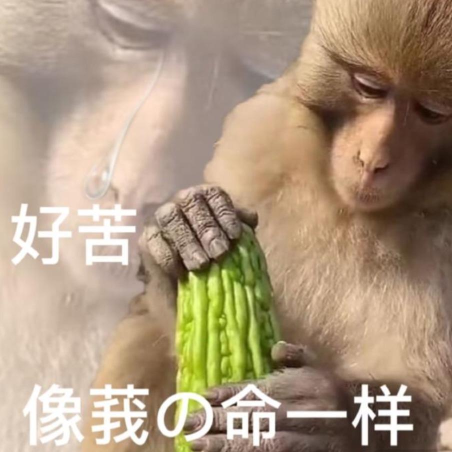 吗喽来咯