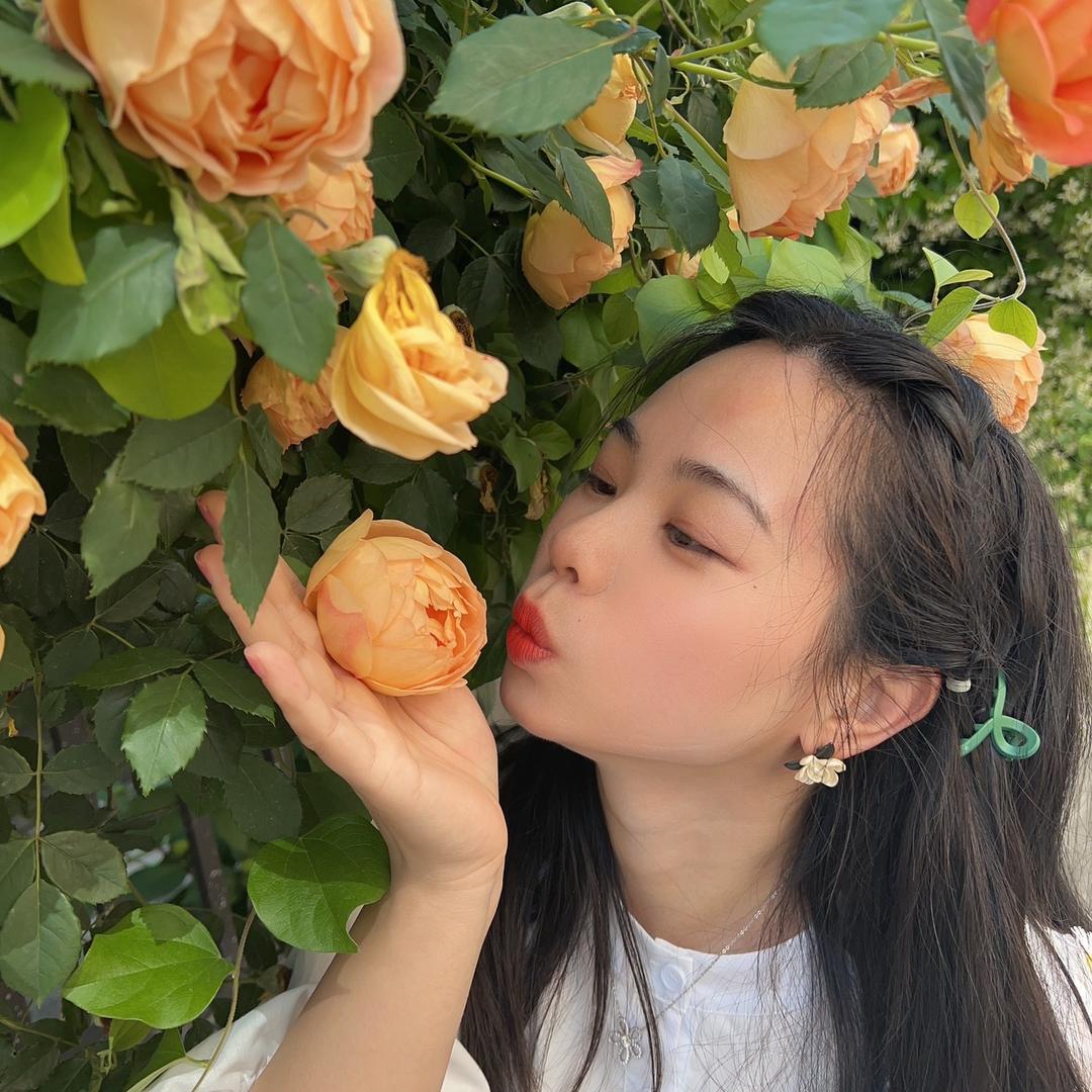 一条幸福金