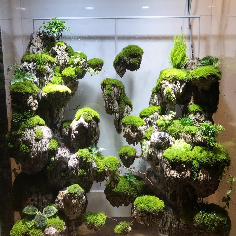 林隐秘境 景观（休息中）