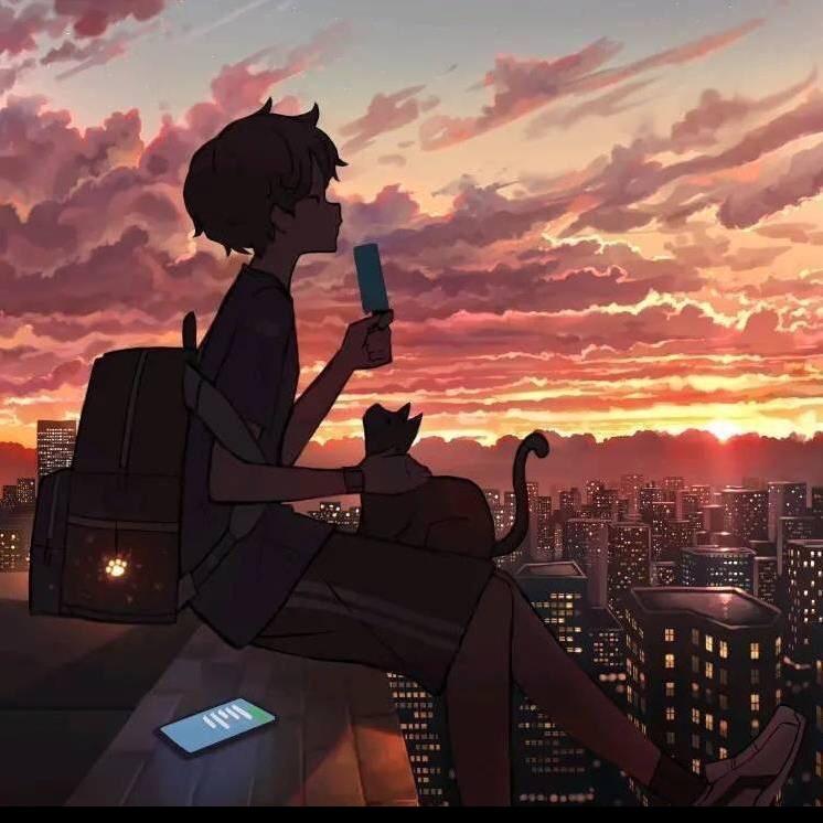 追着日落