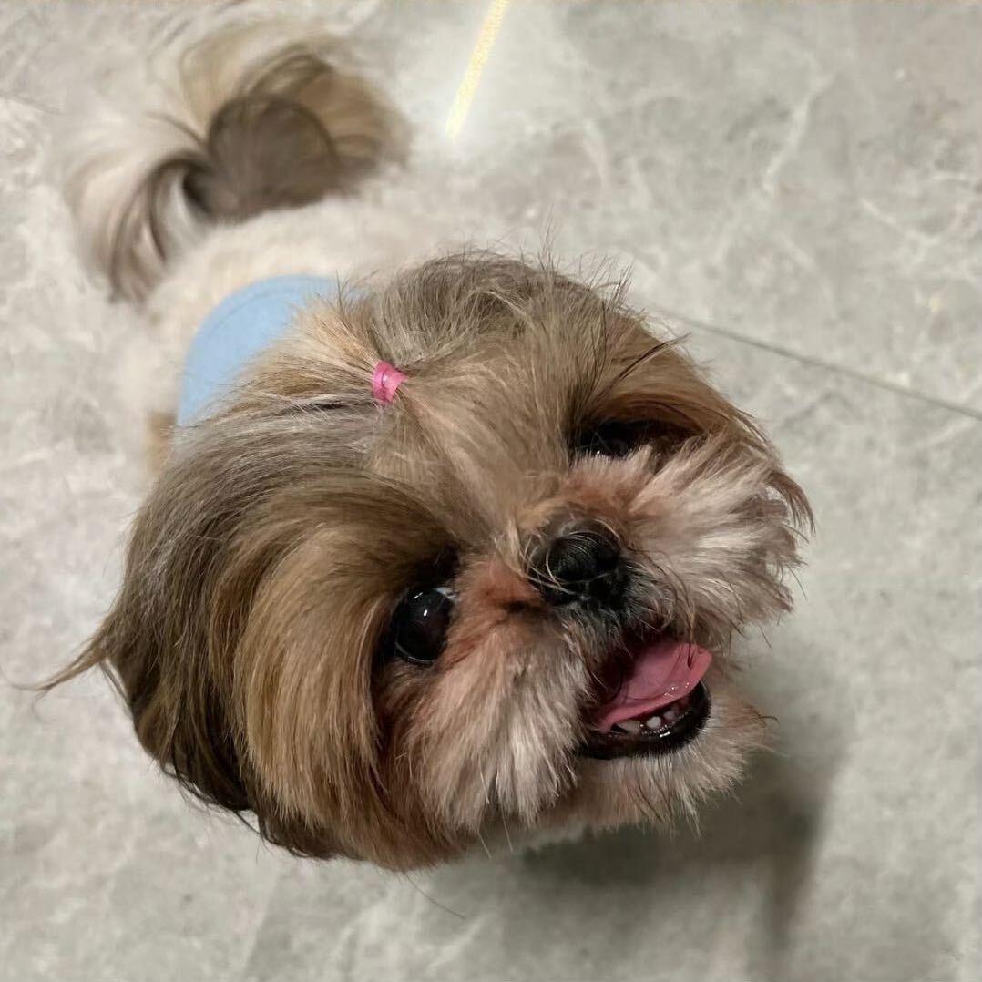 Zoey