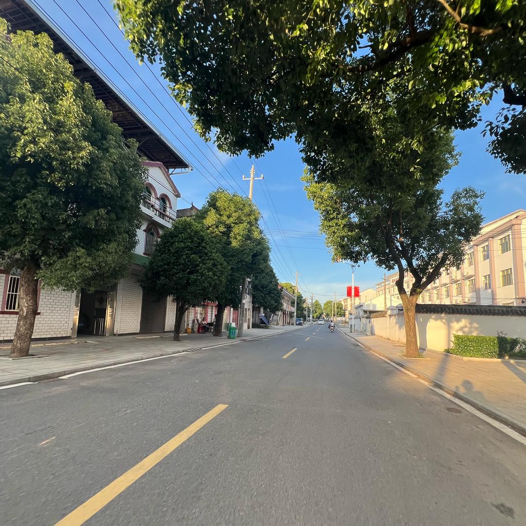 豌豆先生,娱乐主播