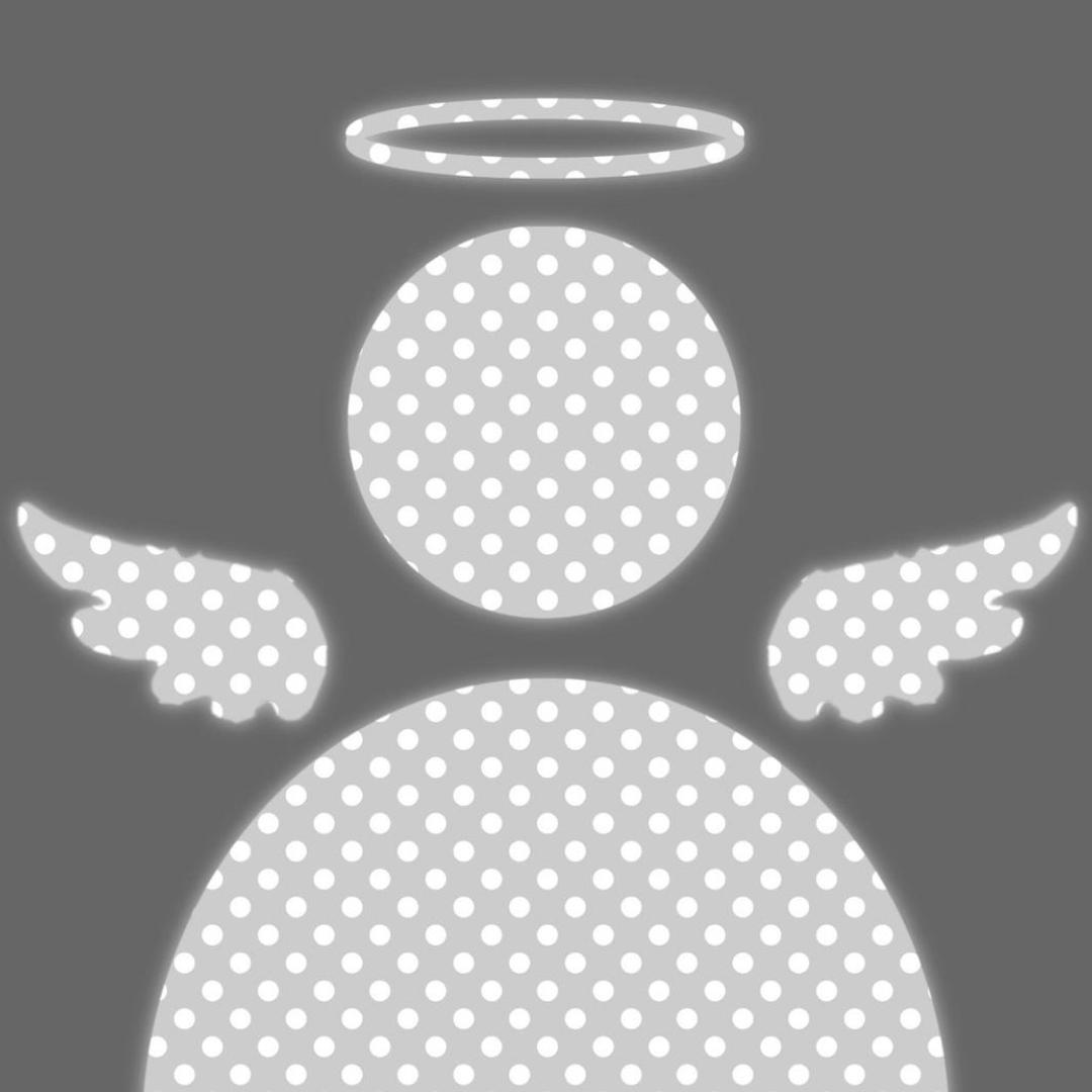 上天会眷顾笨蛋