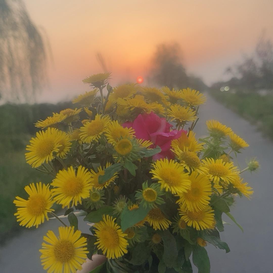 阳光不燥，微风正好