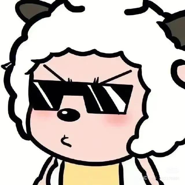 ⚡️极速_小羊ʕ •ᴥ•ʔ