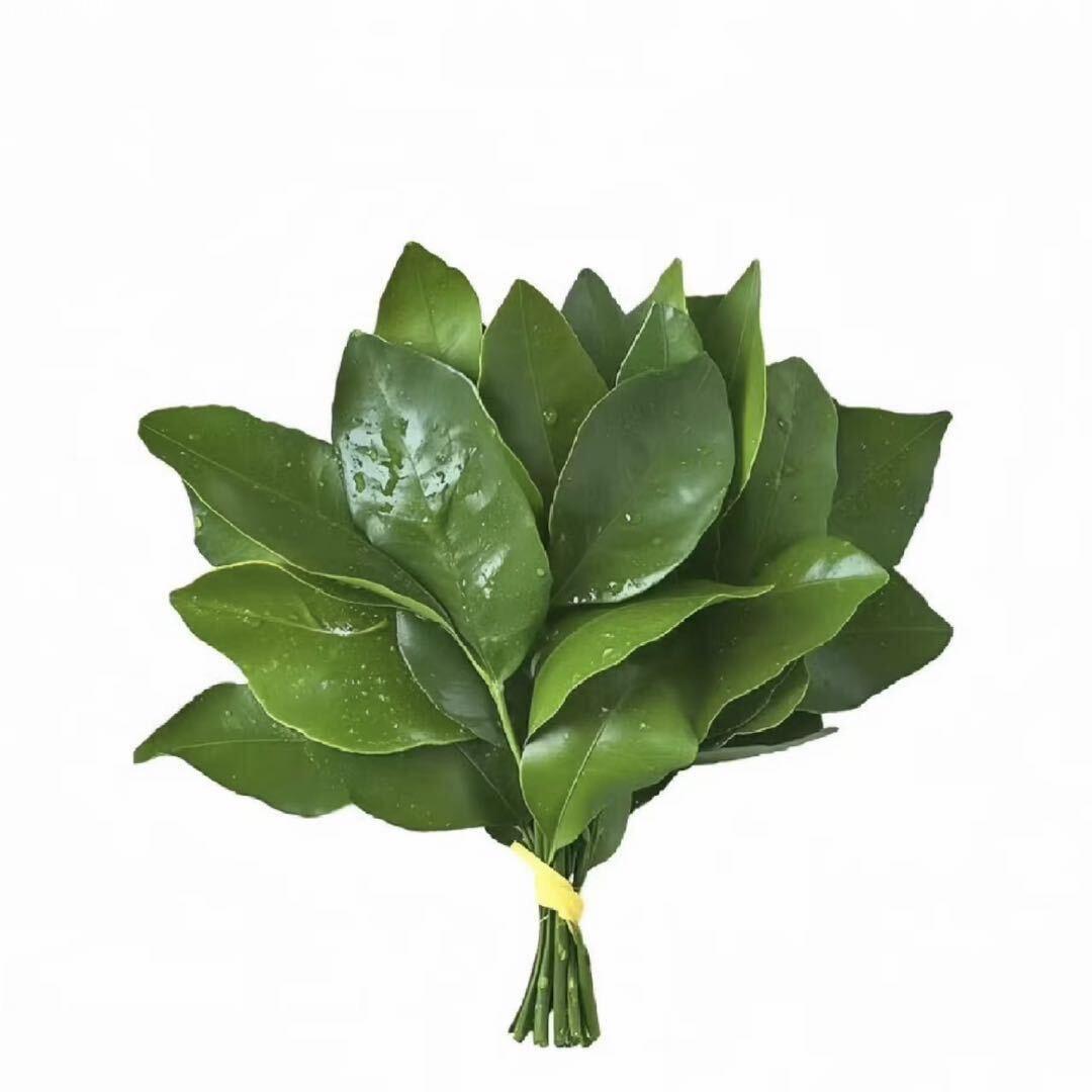 安心在银川添星创翼店