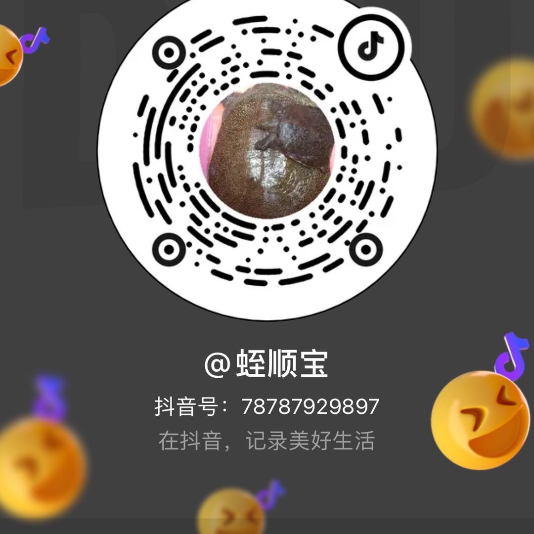 蛭顺宝