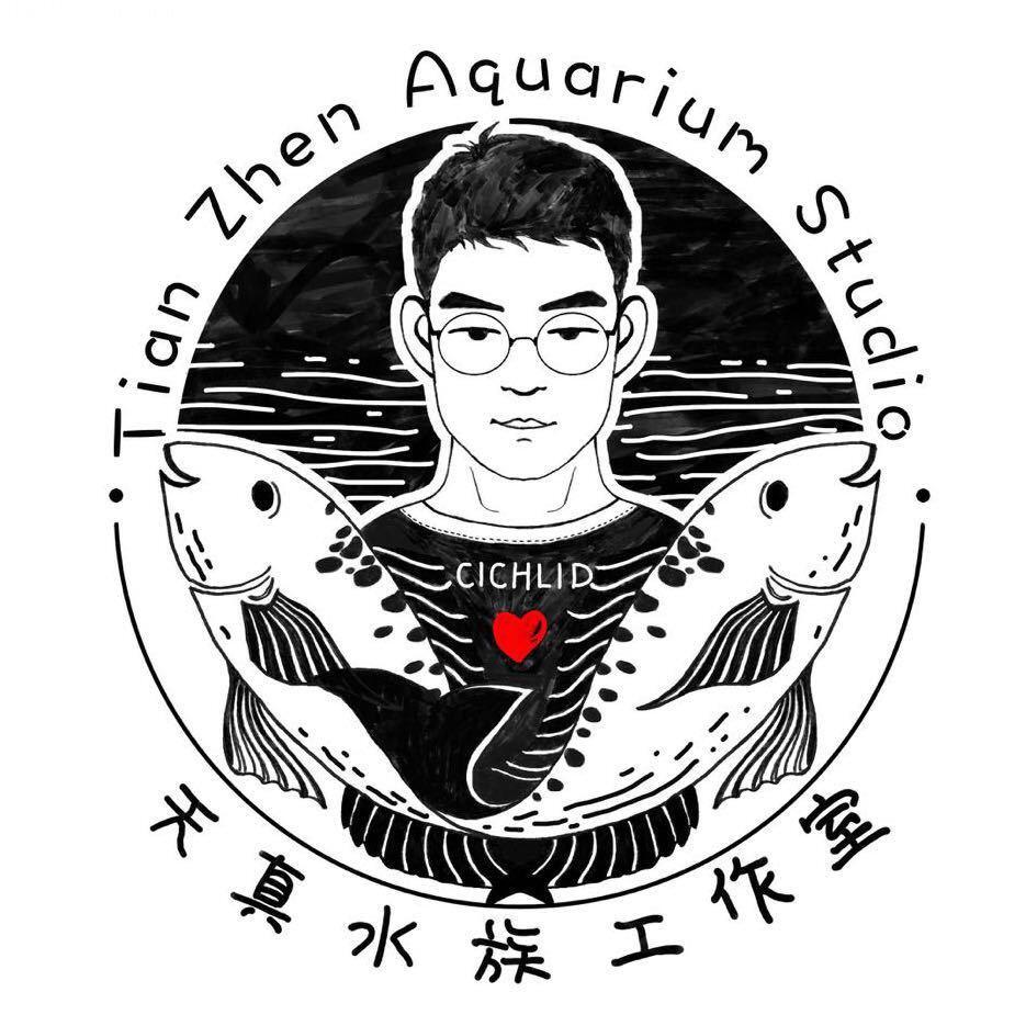 康康的三湖日常