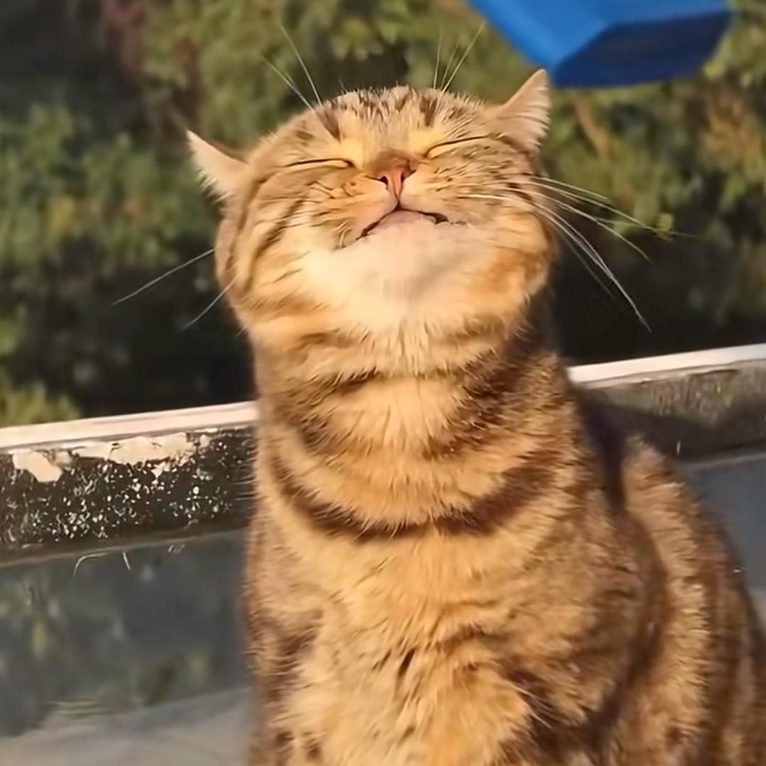 爱我中华